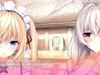 【H GAME】Role Player 小粥姉妹♡Hアニメーション⑪ エロアニメ