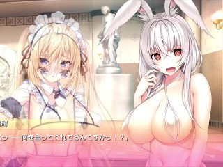 【H GAME】Role Player 小粥姉妹♡Hアニメーション⑪ エロアニメ