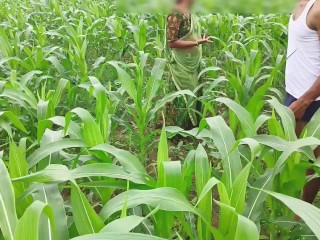 Bhabhi ko Devar ka kala mota Lund aaya pasand makai Ke khet me bhabhi ki chudai outdoor hindi audio