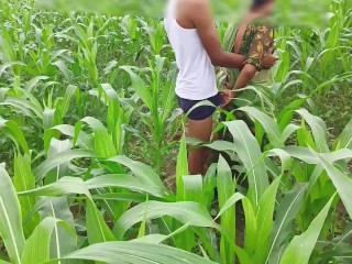 Bhabhi ko Devar ka kala mota Lund aaya pasand makai Ke khet me bhabhi ki chudai outdoor hindi audio