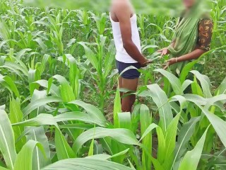 Bhabhi ko Devar ka kala mota Lund aaya pasand makai Ke khet me bhabhi ki chudai outdoor hindi audio