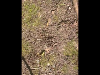 College Boy Mid Day Piss in the Woods - Dane Coxx