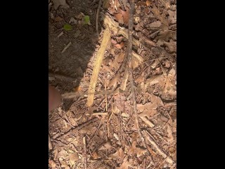 College Boy Mid Day Piss in the Woods - Dane Coxx