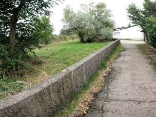 Encore une belle pipe  et creampie après une promenade chaude 🍑🍆