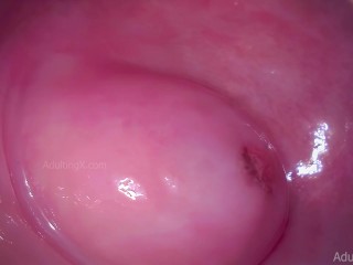 Cervix Throbbing After Orgasm and Heart Beating 4K