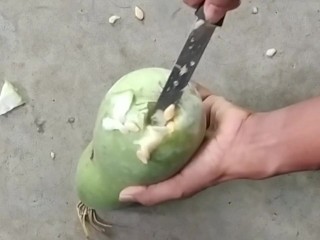 I Fucked An Ass Gourd Lonely While People Roaming Around My Room, A Lot Moaning Fucking & Cum