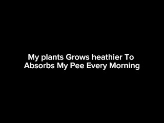 My plants Grows heathier To Absorbs My Pee Every Morning