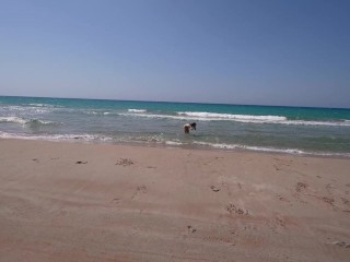 amateur girlfriend risky public deepthroat till huge cumshot - little arden