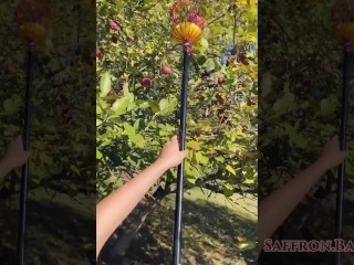 Blowjob in the Orchard