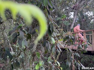 Big tit slut sucks off a fat meat pipe on ripped guy