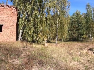 Nude girl came to an old red brick building