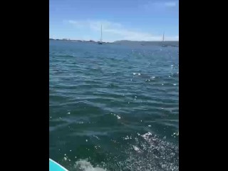 Blonde Babes Coco Lovelock And Haley Spades In San Diego