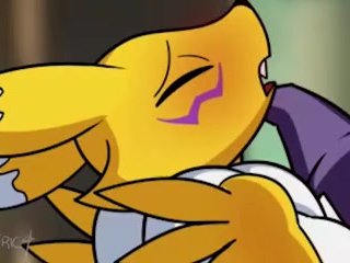 renamon x impmon