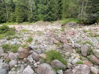 Young guy jerks off next to a river