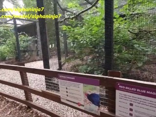 The Zoo makes MILF Wild