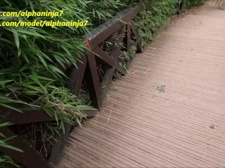 The Zoo makes MILF Wild