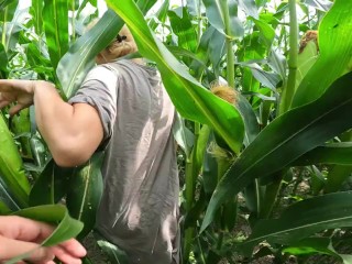 Blonde takes risky sex anal in a cornfield