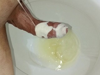 POLLA  APUNTO DE ESTALLAR, GRANDE Y VENOZA, JUGANDO CON AVENA