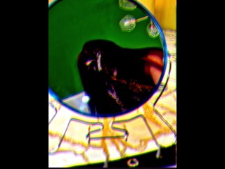 How do you prepare for Halloween? The witch has already bewitched the slave for pleasure