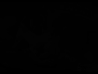 Harley Quinn Compilation