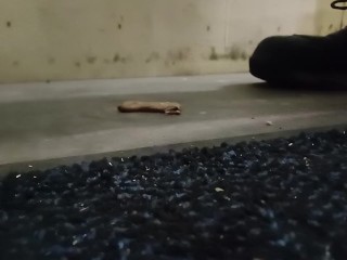 Dog Biscuit Walkover Grind Crush & Trample, size 11 dirty boots 89kg 👣👣