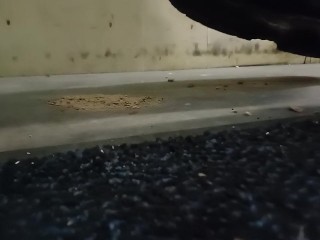 Dog Biscuit Walkover Grind Crush & Trample, size 11 dirty boots 89kg 👣👣