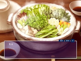 【H GAME】WINTER～田舎の性活♡Hドットアニメーション① フェラ