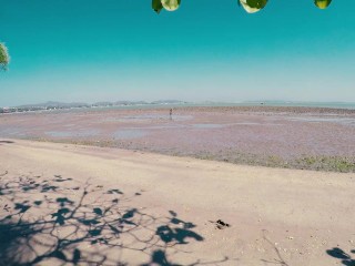 What You Didn’t Expect to See on a Tropical Beach 🏖️😆 peeing, urinating, taking a leak, xixi