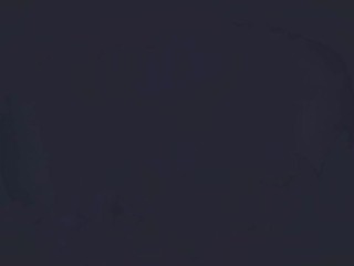 ALL THE BLONDE ELVEN HENTAI ANIMATION - TAMER VALLEY