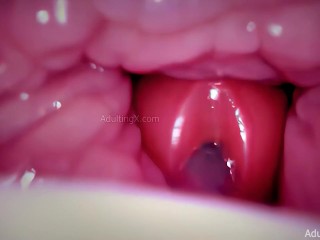 Cum Compilation, Camera in Vagina and Anus, Cum on Cervix