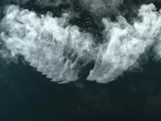 TRANSEROTICA Busty TS Aphrodite Adams Banged After Blowjob