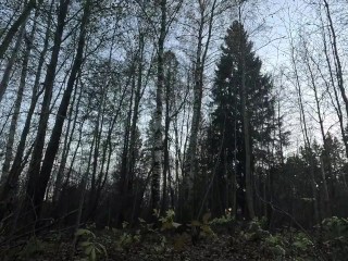 Beautiful hardcore masturbation✨