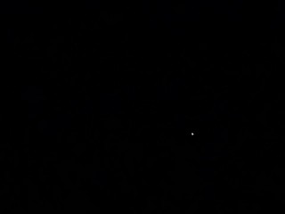 Joyous Reunion Part 5 - Tails of Azeroth Series