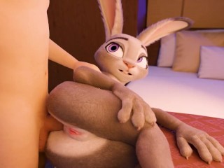 Judy Hopps Anal (Loop)