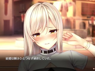 【H GAME】サキュバスの森♡Hドットアニメーション⑦ 騎乗位 エロアニメ