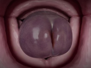 Shrunken inside giantess futa's sex toy VR POV