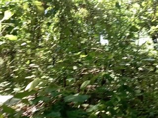 Taglibog sa tag init