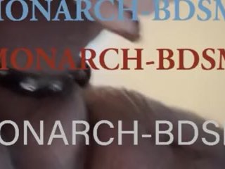 MONARCH-BDSM(BARONET)13.76