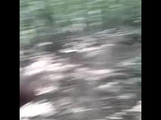 Shaking my FAT BLACK COCK until it gets ROCK HARD while HIKING in PUBLIC