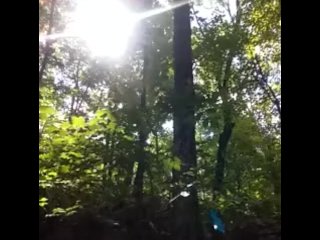 Shaking my FAT BLACK COCK until it gets ROCK HARD while HIKING in PUBLIC