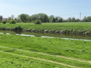 The meeting in the park led to a pleasant end...