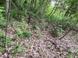 My stepsister and I wanted to look for mushrooms in the forest, but she wanted more.