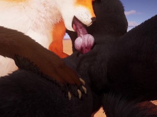 Sex w/ Wolf and Fox Furry│Zeline x Rezir│015│Wildlife│3D