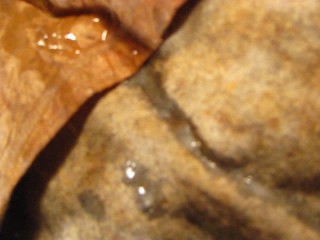 FUCVph4 N1ka Chan3l "Quickie Oil Change" cum only version