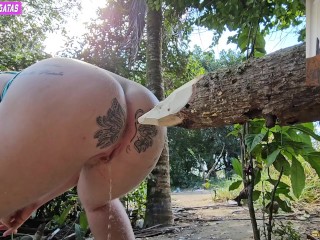 Quando fasso xixi no mato penso seriamente em enfiar esta tora de madeira no meu cu pois estava cosa