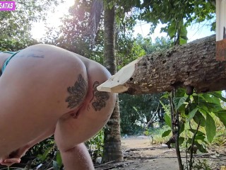 Quando fasso xixi no mato penso seriamente em enfiar esta tora de madeira no meu cu pois estava cosa