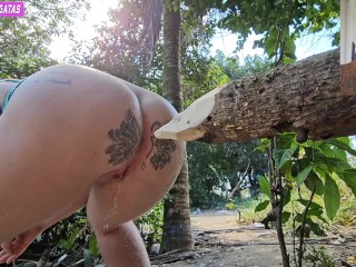 Quando fasso xixi no mato penso seriamente em enfiar esta tora de madeira no meu cu pois estava cosa