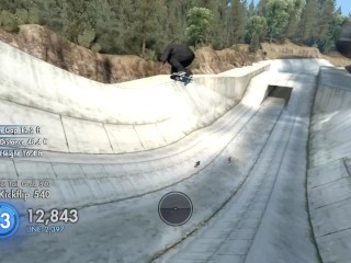 Skate 3 Line