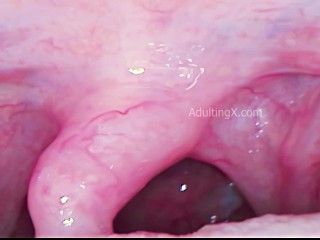 Camera inside Mouth, Uvula dancing, Singing, Throat vibrating, BTS