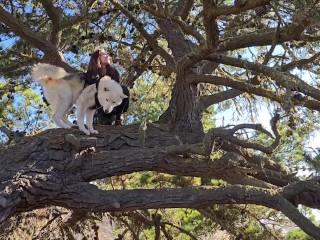 TEMPORARY SEXUAL SATISFACTION